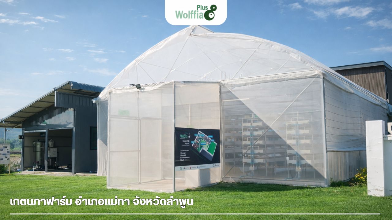 การศึกษาดูงานระบบปิดภาคสนามที่คอร์สผำ ลำพูน ณ ฟาร์มต้นแบบ