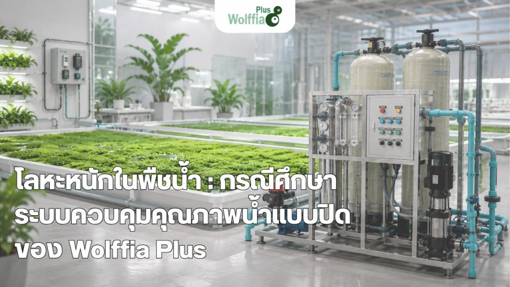 โลหะหนักในพืชน้ำ : กรณีศึกษาระบบควบคุมคุณภาพน้ำแบบปิดของ Wolffia Plus