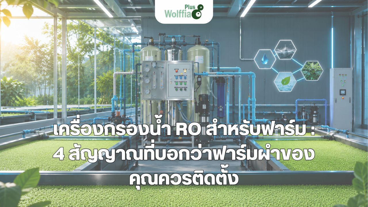 เครื่องกรองน้ำ RO สำหรับฟาร์ม : 4 สัญญาณที่บอกว่าฟาร์มของคุณควรติดตั้ง