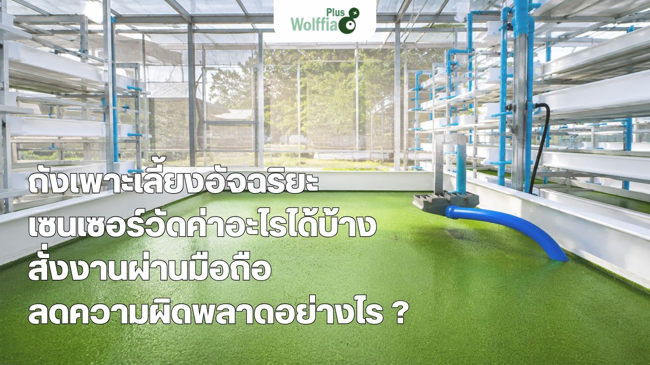 ถังเพาะเลี้ยงอัจฉริยะ เซนเซอร์วัดค่าอะไรได้บ้าง สั่งงานผ่านมือถือ ลดความผิดพลาดอย่างไร ?