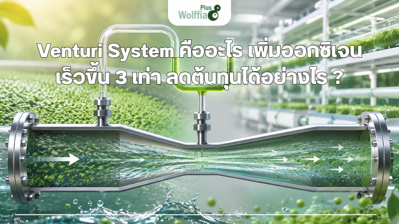 Venturi System คืออะไร ? เพิ่มออกซิเจน ประหยัดต้นทุน ดีกว่าระบบเดิมอย่างไร
