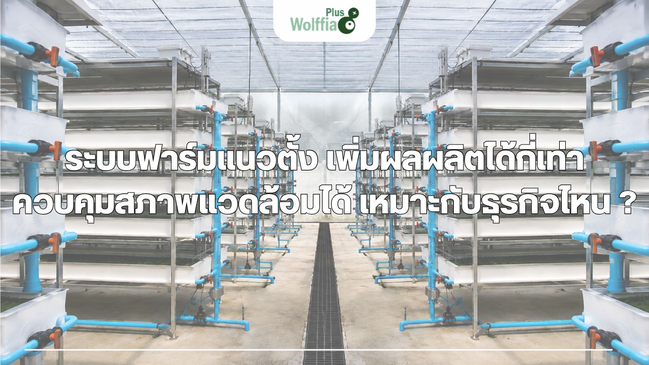 ระบบฟาร์มแนวตั้ง เพิ่มผลผลิตได้กี่เท่า ควบคุมสภาพแวดล้อมได้ เหมาะกับธุรกิจไหน ?