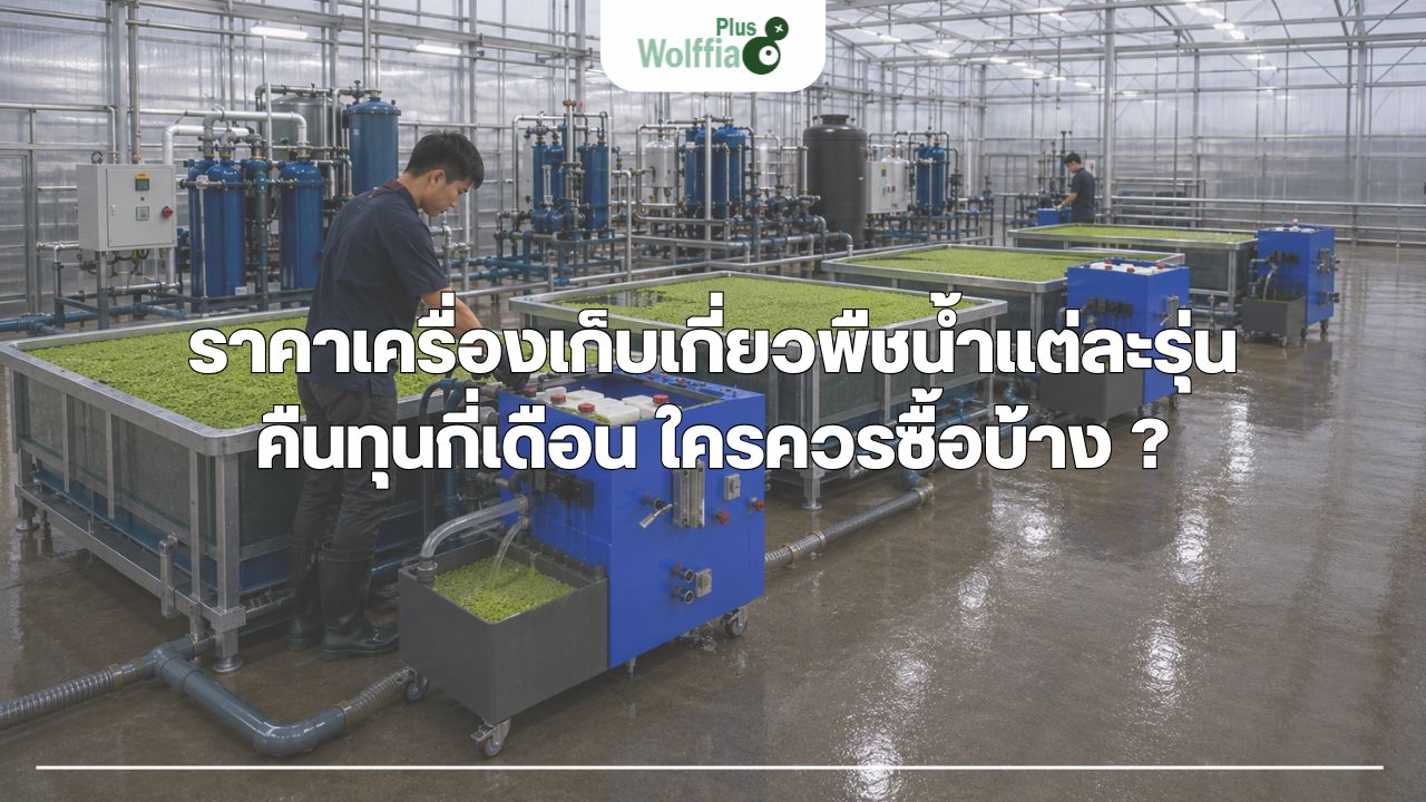 ราคาเครื่องเก็บเกี่ยวพืชน้ำแต่ละรุ่น คืนทุนกี่เดือน ใครควรซื้อบ้าง ?