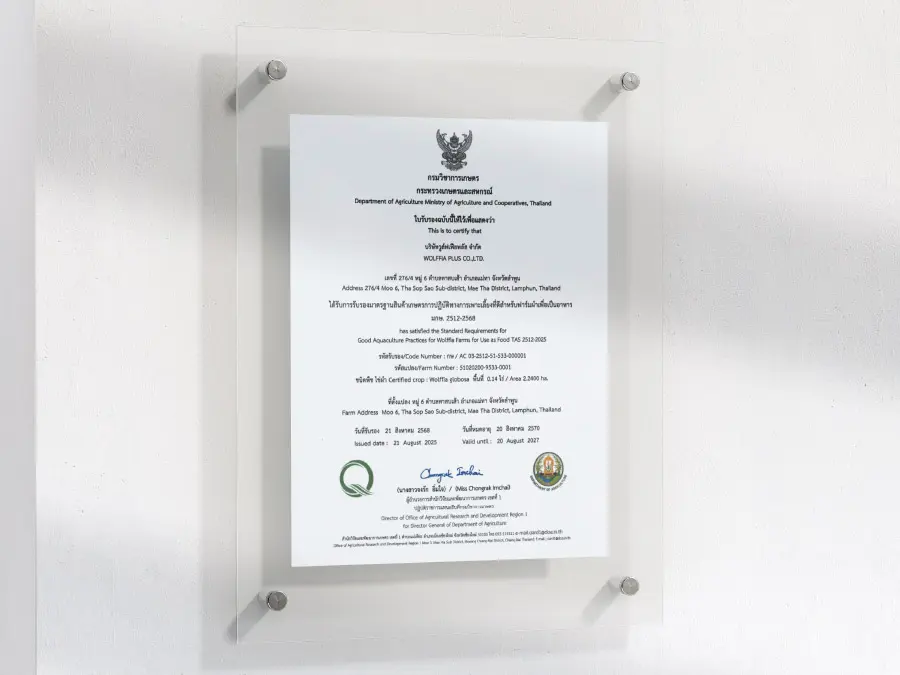 ใบรับรองมาตรฐานของ Wolffia Plus ติดผนัง