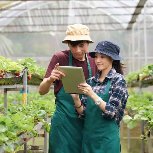 Young Smart Farmer